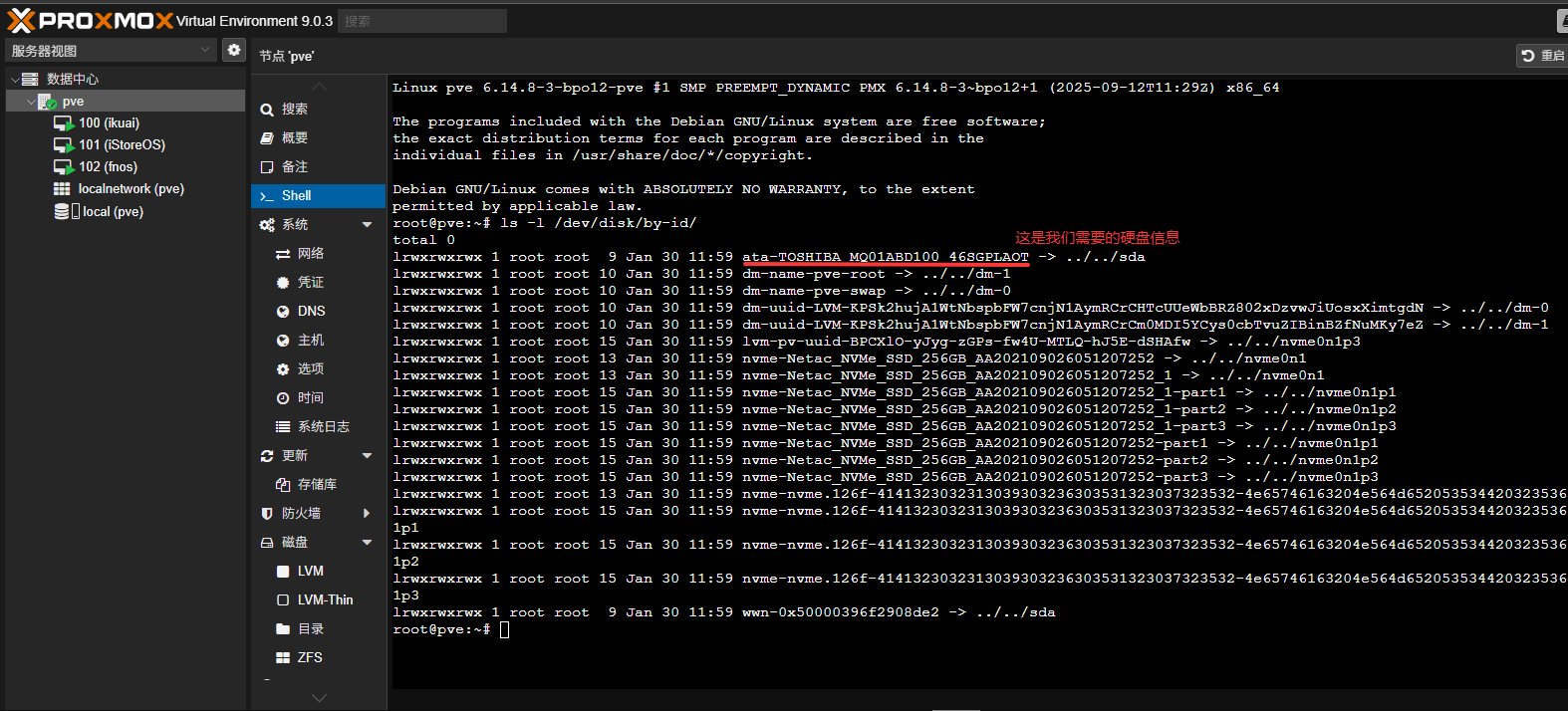 飞牛OS在pve下挂载并直通硬盘操作。